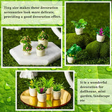 12 Pieces Dollhouse Plant Bonsai Doll House Mini Potted Plant Artificial Tiny Greenery Ornament Miniature Hanging Potted Plant Faux Flower Model Dollhouse Decoration for Boy Girl Present, 6 Types