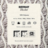 Bernat Blanket Malachite Yarn - 2 Pack of 300g/10.5oz - Polyester - 6 Super Bulky - 220 Yards - Knitting/Crochet