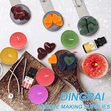 DINGPAI Candle Making Supplies Kit, Complete Soy Candle Making Set with Silver Candle Melting Pot, 1LB Soy Wax, Fragrance, Candle Dyes, Wicks, Wicks Sticker, Wicks Holder, Production Instructions