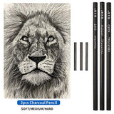 Sketching and Drawing Colored Pencils Set 96-Pieces,Art Supplies Painting Graphite Professional Art Pencils Kit,Gifts for Teens & Adults Drawing Charcoal Tool Set
