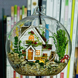 WYD DIY Miniature Wooden Dollhouse Glass Ball Creative Birthday Xmas Gift (Forest House)