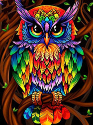 SUNKOO DIY 5D Diamond Painting Kits Owl Paint with Diamonds Kit Full Drill Owl Diamonds Art Kit for Kids Adults,12×16 inches Exotic Owl