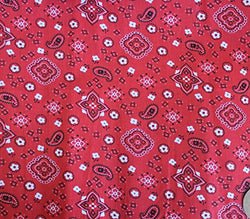 Polycotton Fabric Printed PAISLEY PATTERN RED / 60" Wide / Sold by the Yard