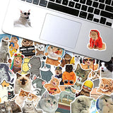 LIFEBE Cat Stickers Pack, 200Pcs Funny Cute Cat Stickers for Kids Teens Adults, Kawaii Kitty Vinyl Cat Animal Decals for Water Bottle Laptop Skateboard Phone