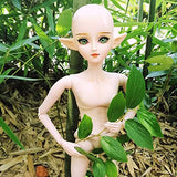 EVA BJD Handmade Makeup Spirit Demon Boy Elf Man Customized 1/3 BJD Doll SD Dolls 60cm 24" 19 Balll Jointed Dolls Toy Gift (Gray Eyes)