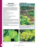 Annuals, Perennials, and Bulbs: 377 Flower Varieties for a Vibrant Garden (Creative Homeowner) 600 Photos and Over 40 Step-by-Step Sequences to Help Design, Improve, & Maintain Your Landscape