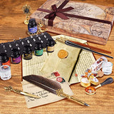 AXEARTE Calligraphy Pens Ink Set, 34 pcs Quill Pen and Ink Set Includes Feather Pen, Wooden Pen, Glass Dip Pen, 6 Bottles Ink, 18 Nibs, Seal Stamp, White Wax, Spoon, Best Gift Kit for Writing (Grey)