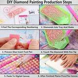 Pudiceva 5D Diamond Painting Kits for Adults & Kids, Diamond Art Kits, Full Drill Round Crystal Gem Dimond Art Painting Kit for Home Wall Decoration (12x 16 inch),Flower 01