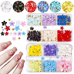2 Boxes 3D Flower Nail Charms and Metal Beads for Acrylic Nails, Nail Flowers Rhinestone Nail Design 3D Nail Decals For Nail Art Craft Supplies DIY Decoration Accessories (2 packs)