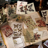 240 Pieces Vintage Scrapbooking Stickers, DIY Decorative Plants Dried Pressed Flowers Butterfly Floral Nature Retro Paper Stickers for Collection and Diary Embellishment Supplies