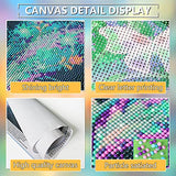 Diamond Painting Kits,Diamond Art Kits 2 Pack, Diamond Painting Kits for Adults, Diamond Art 12x16" ,Moon Diamond Dot for Wall Decor