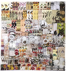 250 Pcs Vintage Scrapbooking Supplies Scrapbook Stickers Aesthetic Paper Junk Journal Supplies Kits Scrap Booking Stuff for Journaling Bullet Journals DIY Art Craft Collage Album Card Making Gift Package (Nature)