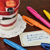 Pentel brush touch felt-tip pen 12 color set SES15C-12
