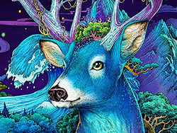 Deer Diamond Painting- 5d Diamond Painting Kits, Full Coverage, Round Rhinestone, DIY Tool Kit Art Supplies- Fun Gifts for Friends&Family, Adults&Children, Craftwork for Indoor Décor(12"x16")