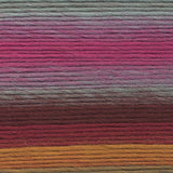 Lion Brand Yarn  545-204 Landscapes Yarn, Desert Spring