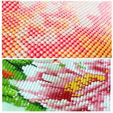 LPRTALK DIY 5D Diamond Painting by Number Kit for Adults, Full Round Drill Diamond Art Embroidery Dotz Kit Cross Stitch Mosaic Making Arts Craft Canvas for Wall Decor Moon Cats 12X16 inches