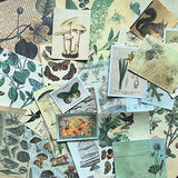 DESEACO Vintage Aesthetic Botany Adhesive Washi Decorative Sticker For Scrap Booking, Antique Plants Floral Butterfly Paper Retro Decals Journaling Supplies Aesthetic for Diary Nature Journal Embellishment (Artsy Crafts Plant Journal Material Pack)