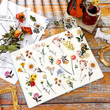 160 Pieces Vintage Scrapbook Stamp Sticker Aged Antique Decorative Sticker Flower Plant Stickers for Personal Retro Paper Craft Paper Laptop Scrapbook Journal Projects Collection Supplies