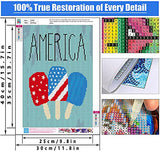 5D Diamond Painting Kits for Adults, DIY 5D Diamond Art Kits for Kids Beginners, Full Round Drill Diamond Dots Diamond Paintings, Home Wall Decor and Gift (American Flag 11.8 x 15.7 inch)