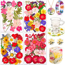 113 PCS Dried Flowers for Resin Real Dried Pressed Flowers Leaves Herbs Petals Natural Flowers for Crafts Dry Flowers for Resin Supplies DIY Jewelry Nail Art Decor Scrapbooking Soap Candle Making Kit