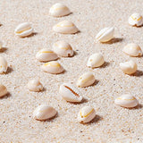 Pandahall 120~150pcs/box White Natural Spiral Shell Beads Sea Shells Beach Seashells Cowrie