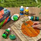 Magicfly Acrylic Paint Set, 12 Colors (120ml/4.06oz) Outdoor Acrylic Paint , Rich Pigments Multi-Surface Outdoor Craft Paints for Rocks, Canvas，DIY Projects, Christmas Decorations, Non Toxic Paints for Outdoor Wall Painting, Garden, Fence, House, Furnitu