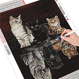 HuaCan Diamond Painting Kits - DIY 5D Cat Tiger Full Square Drill Crystal Rhinestone Embroidery Pictures Arts Craft for Home Wall Decor 30x40cm