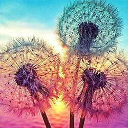 DIY 5D Diamond Painting Kits for Adults,Dandelions Dot Full Drill Crystal Rhinestone Embroidery for Home Wall Decor(12X12in)