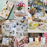 XUXU 146Pcs Dried Pressed Flowers and Butterfly Transparent Stickers Set, Natural Dried Flower Leaves Kit Scrapbook Supplies for Scrapbooking DIY Candle Decoration Resin Jewelry Crafts Making