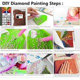 Dylan’s Cabin DIY 5D Diamond Painting Kits for Adults,Full Drill Embroidery Paint with Diamond for Home Wall Decor（hummingbird/12x16 inch)