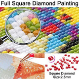 ENCHYS 5D DIY Diamond Painting Art Kits for Adults Kids Full Drill, Diamond Painting Woman with Hat Set Embroidery Cross Stitch Large Size Craft Gift-70x100cm df2394