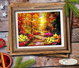 DIY 5D Diamond Painting Kits for Adults Kids Autumn Forest Landscape Full Drill Embroidery Paintings Rhinestone Flower Clad Road DIY Painting Cross Stitch Arts Crafts for Home Wall Decor (16x12inch)