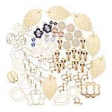 PandaHall Elite 1 Box Earring Making Sets 25 Styles with Earring Hook Clip-on Earring Ear Studs