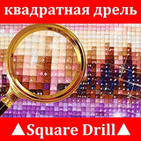 DIY Full Diamond Painting Cross Stitch kit for Adults Home Decoration Red Apples