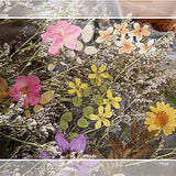 MAXLEAF 160PCS Vintage Plants Flowers Leaves Stickers for Decoration Planners Scrapbook Laptops Dairy Decoration (Wild Flower)
