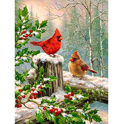 DIY 5D Diamond Painting Kit for Adult Kids,Full Drill Embroidery Cross Stitch Picture Supplies Arts Craft for Home Wall Decor Wall Decoration Paint
