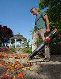 Worx Turbine 12 Amp Corded Leaf Blower with 110 MPH and 600 CFM Output and Variable Speed Control – WG520