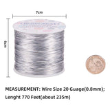 BENECREAT 20 Gauge 770FT Aluminum Wire Anodized Jewelry Craft Making Beading Floral Colored Aluminum Craft Wire - Silver