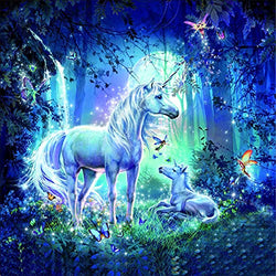 Diamond Painting Kits for Adults Kids, 5D DIY Unicorn Diamond Art Accessories with Round Full Drill Dotz for Home Wall Decor - 11.8×11.8Inches