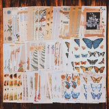 200PCS Vintage Scrapbooking Sticker Paper Pack for Art Journaling Bullet Junk Journal Supplies Planners Notebook DIY Craft Kits Collage Album Aesthetic Cottagecore Picture Frames with Plants Flower Butterfly Mushroom
