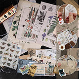 192 Pieces Vintage DIY Scrapbooking Stickers Adhesive Journaling Scrapbook Paper Antique Retro Flower Washi Paper Decals Decorative Natural Collection Scrapbook Supplies for Notebook Album Invitations
