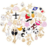 Ownsig 50pcs Mixed Alloy Enamel Charms Pendants DIY for Jewelry Making and Crafting