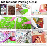 Dylan’s cabin DIY 5D Diamond Painting Kits For Adults,Full Drill Embroidery Paint with Diamond for Home Wall Decor（scenery/12x16inch)