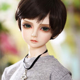 MLyzhe Handsome BJD Doll Boy Exquisite Short Hair Full Set Joint Dolls Can Change Clothes Shoes Decoration,Browneyeball
