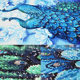 Diamond Painting Full Drill Beautiful Peacock DIY Arts Craft for Home Wall Decor (45 x 80 cm)