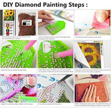 AMAILY Diamond Painting Kits for Adults - 5D Diamond Art Kits with Painting by Number Kits for Beginners - Great Decor for Home,Living Room,Office,Kitchen,Shop (Snowman 11.815.7Inch)