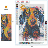 Wonmon 5D DIY Diamond Painting Kits for Adults Kids, Dachshund Colourful Cute Dog Full Round Drill Diamond Painting Art, Paint by Numbers Diamond Dots with Tolls for Gifts Home Wall Decor (12x16in)