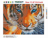 DIY 5D Diamond Painting Kit by Number Kit, Tiger Full Drill Embroidery Cross Stitch Arts Craft for Home Wall Decor 11.8x13.8 inch