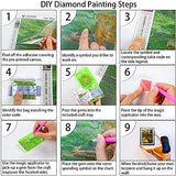 DIY 5D Moon Diamond Painting Kits Beach Diamond Art for Adults Paint by Numbers Diamond Art Painting for Adults Beginners 12x16 inch
