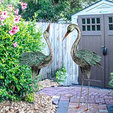 Garden Crane Statues Outdoor Metal Yard Art Heron Statues and Sculptures,Set of 2